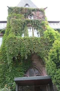 0098 Witzenhausen Sept 2010 (Large)